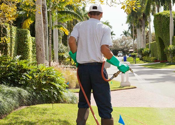About Smoketown PA Pest Control Pros